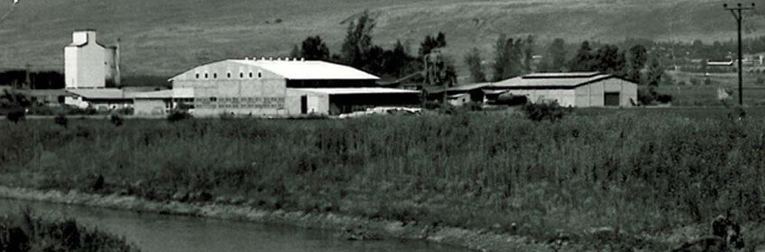 The Huliot factory at Kibbutz Sde Nehemia 